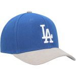LA Dodgers Jerseys Store – mens los angeles dodgers mitchell  ness royal corduroy pro snapback hat Baseball Jerseys and Hats