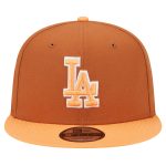 LA Dodgers Jerseys Store – mens los angeles dodgers new era brown spring color two-tone 9fifty snapback hat Baseball Jerseys and Hats