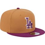 LA Dodgers Jerseys Store – mens los angeles dodgers new era brownpurple color pack two-tone 9fifty snapback hat Baseball Jerseys and Hats