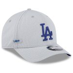 LA Dodgers Jerseys Store – mens los angeles dodgers new era gray 2025 mlb clubhouse 9forty m-crown adjustable hat Baseball Jerseys and Hats
