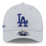 LA Dodgers Jerseys Store – mens los angeles dodgers new era gray 2025 mlb clubhouse 9forty m-crown adjustable hat Baseball Jerseys and Hats